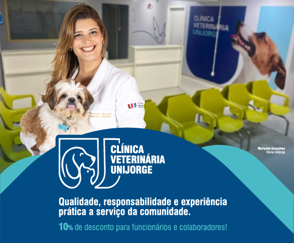 Imagem destaque